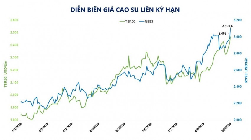 Giá cao su lập đỉnh nhiều năm vì cú siết kép từ dầu và nguồn cung