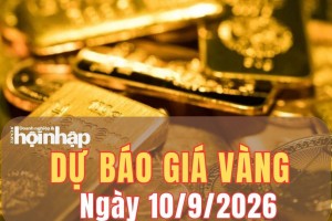 Dự báo giá vàng ngày mai 10/9: Vàng có thể tăng trở lại?
