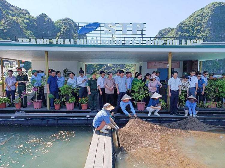Mô hình nuôi biển kết hợp du lịch của HTX Nuôi trồng thủy sản Phất Cờ. Nguồn: quangninh.gov.vn