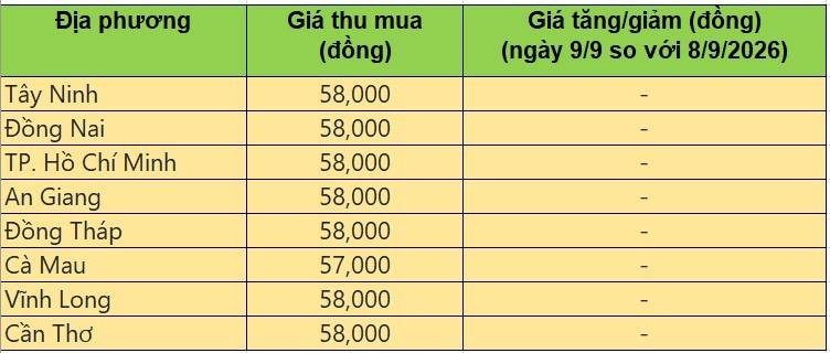 giá heo hơi