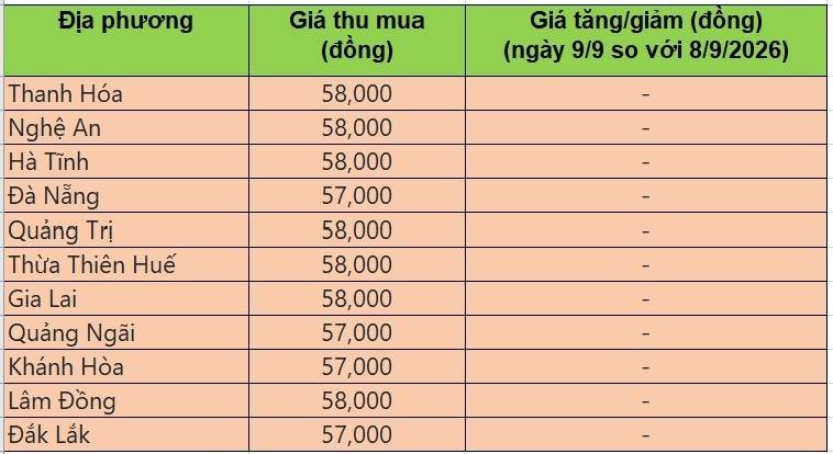 giá heo hơi
