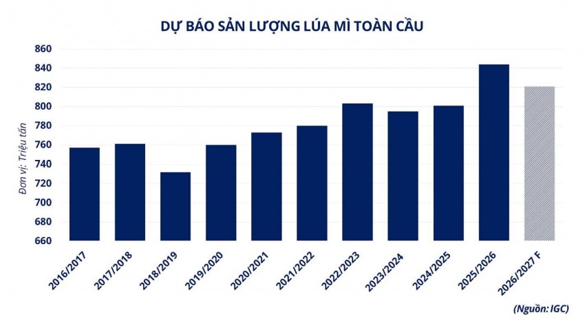 Thị trường lúa mì chịu sức ép kép: Nguồn cung dồi dào từ Bắc Mỹ, Biển Đen thắt chặt chuỗi cung ứng