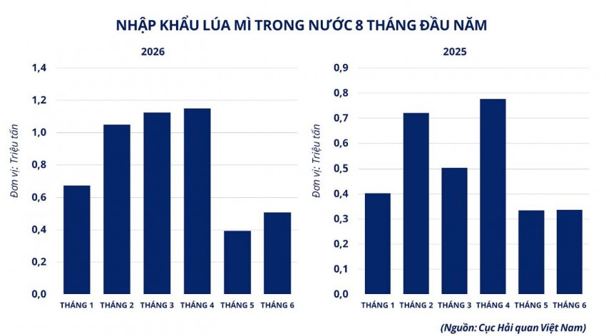Thị trường lúa mì chịu sức ép kép: Nguồn cung dồi dào từ Bắc Mỹ, Biển Đen thắt chặt chuỗi cung ứng