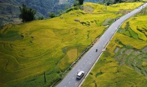Lào cai: Mở đường cho một hành lang kinh tế vùng cao biên mậu Trịnh Tường – Y Tý