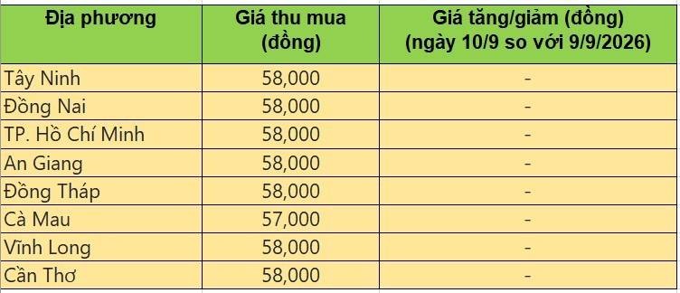 giá heo hơi