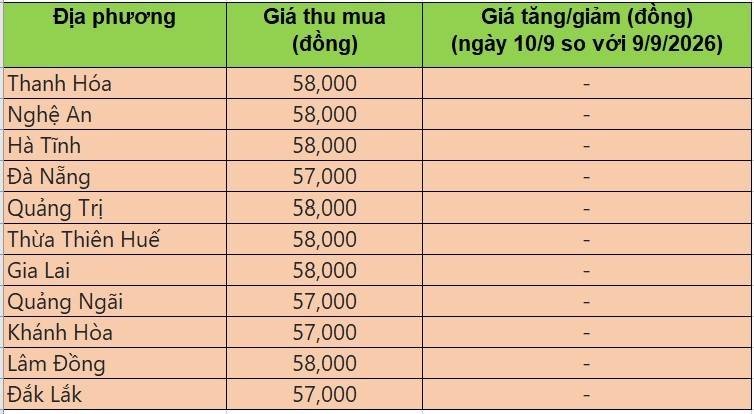 giá heo hơi