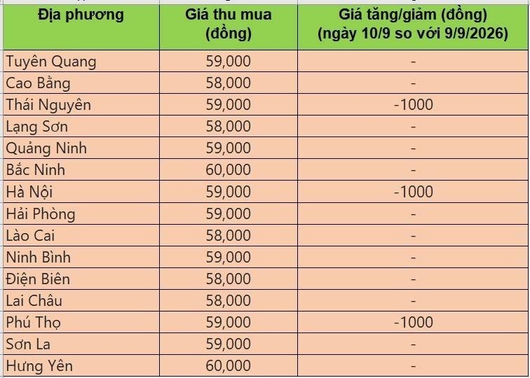 giá heo hơi