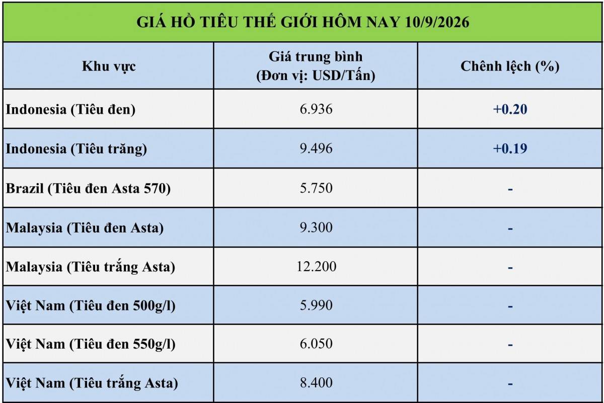 Giá tiêu hôm nay 10/9/2026: