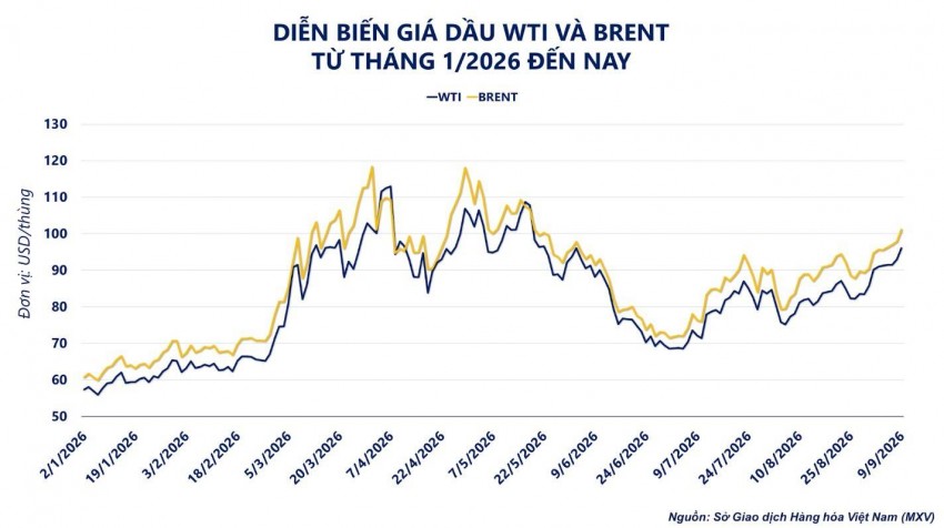 Giá dầu thô vượt 100 USD/thùng do căng thẳng tại eo biển Hormuz
