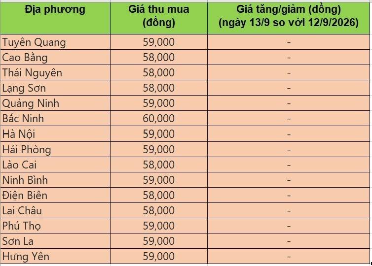 Bảng giá heo hơi tại miền Bắc hôm nay 13/9/2026