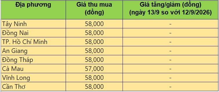 Bảng giá heo hơi tại miền Nam hôm nay 13/9/2026