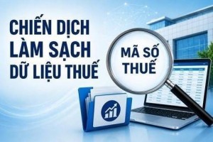 10 trạng thái mã số thuế và việc người nộp thuế cần làm