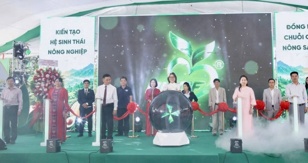 Sầu riêng Lâm Đồng mở cửa xuất khẩu từ vùng nguyên liệu lớn - Tạp chí Doanh nghiệp và Hội nhập
