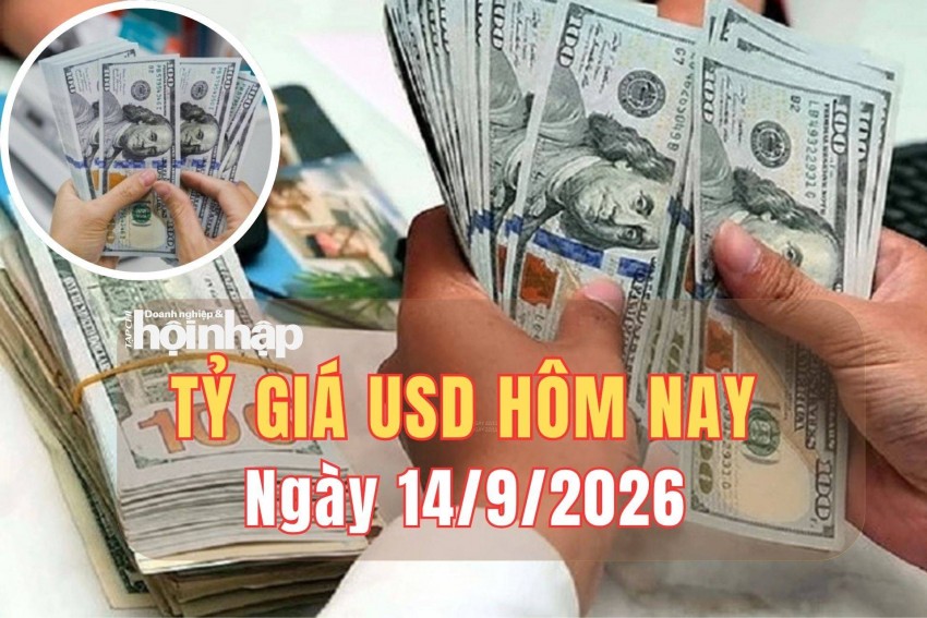 Tỷ giá USD hôm nay 14/9/2026: Đồng USD thế giới giữ nền cao trước thềm Fed