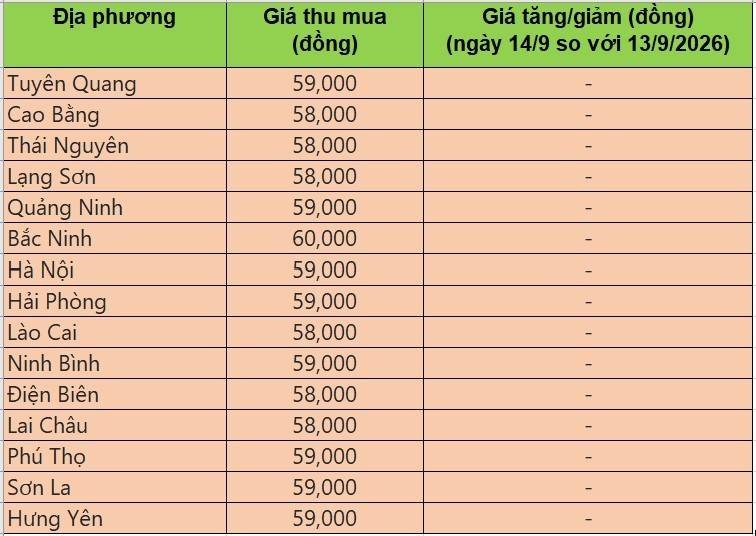 Bảng giá heo hơi tại miền Bắc hôm nay 14/9/2026