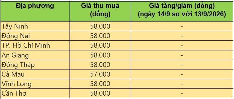 Bảng giá heo hơi tại miền Nam hôm nay 14/9/2026