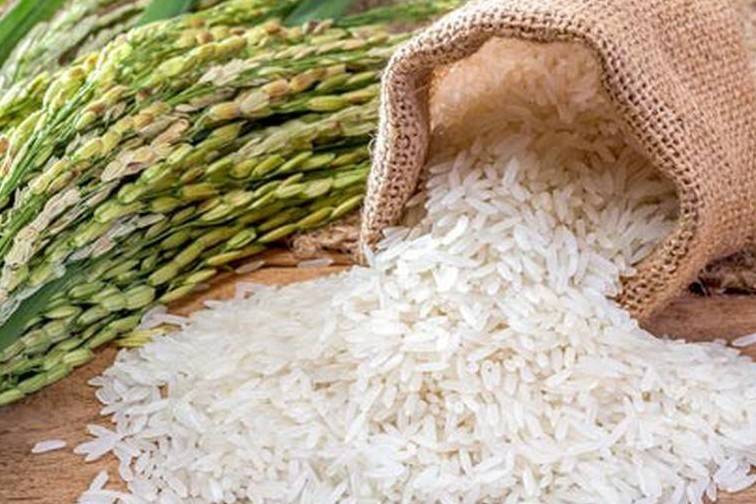 Giá gạo thế giới phục hồi, vì sao xuất khẩu Việt Nam vẫn giảm?