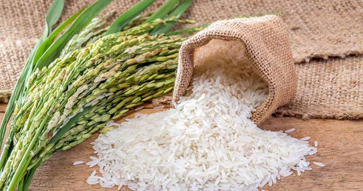 Giá gạo thế giới phục hồi, vì sao xuất khẩu Việt Nam vẫn giảm?