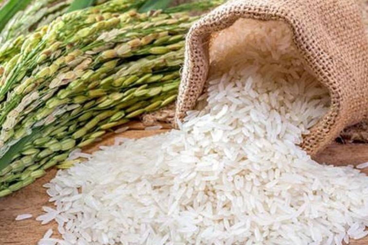 Xuất khẩu gạo Việt Nam giảm dù giá thế giới phục hồi