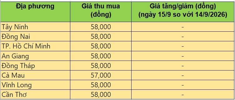 Bảng giá heo hơi tại miền Nam hôm nay 15/9/2026