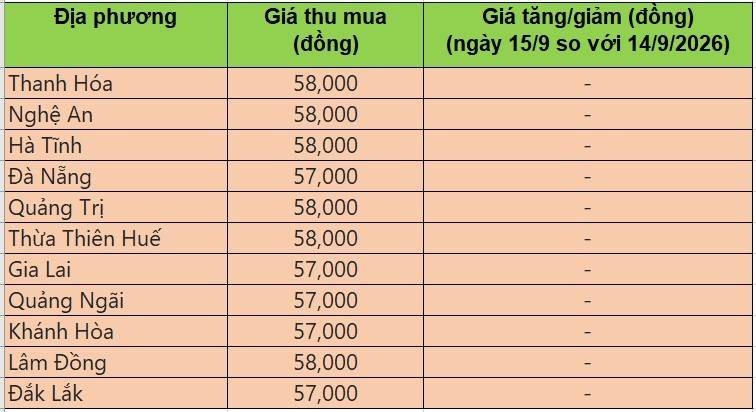 Bảng giá heo hơi tại miền Trung - Tây Nguyên hôm nay 15/9/2026