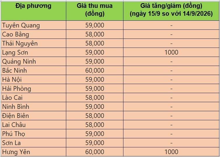 Bảng giá heo hơi tại miền Bắc hôm nay 15/9/2026