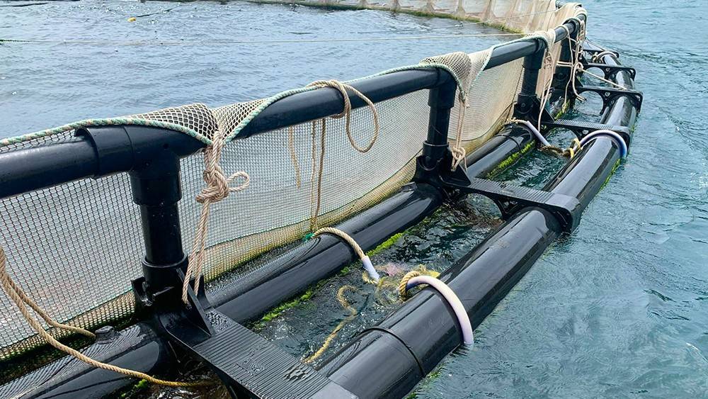 Quản lý hệ thống lồng HDPE hiệu quả là yếu tố quyết định thành bại trong nuôi trồng thủy sản hiện đại. Với chất liệu HDPE siêu bền, hệ thống lồng đã trở thành giải pháp tối ưu cho nhiều hộ nuôi. 