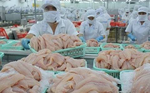 Xuất khẩu cá tra sang thị trường Anh: Điểm sáng từ phân khúc giá trị gia tăng