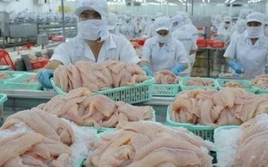 Xuất khẩu cá tra sang thị trường Anh: Điểm sáng từ phân khúc giá trị gia tăng