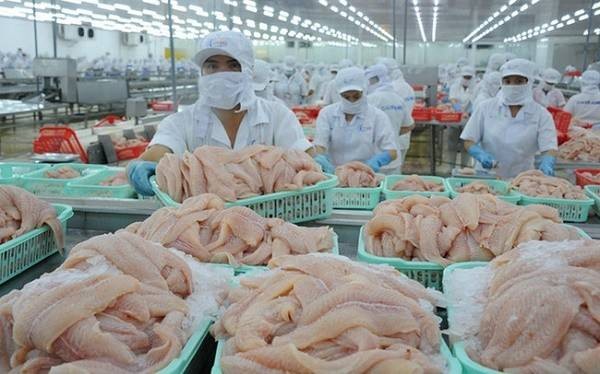 hế biến cá tra xuất khẩu tại doanh nghiệp. 7 tháng đầu năm 2026, xuất khẩu cá tra sang thị trường Anh đạt 43 triệu USD, tăng 23% so với cùng kỳ