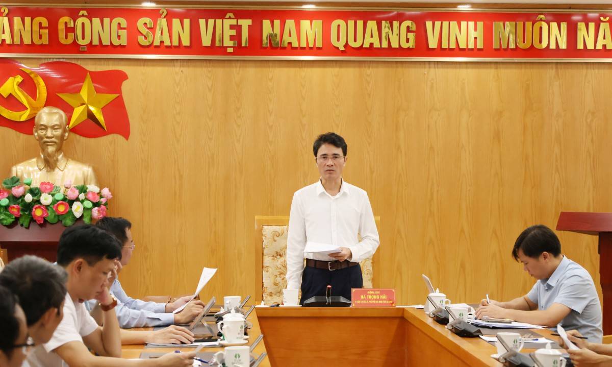 Lai Châu hoàn tất chuẩn bị Hội thảo khoa học về Sâm Lai Châu