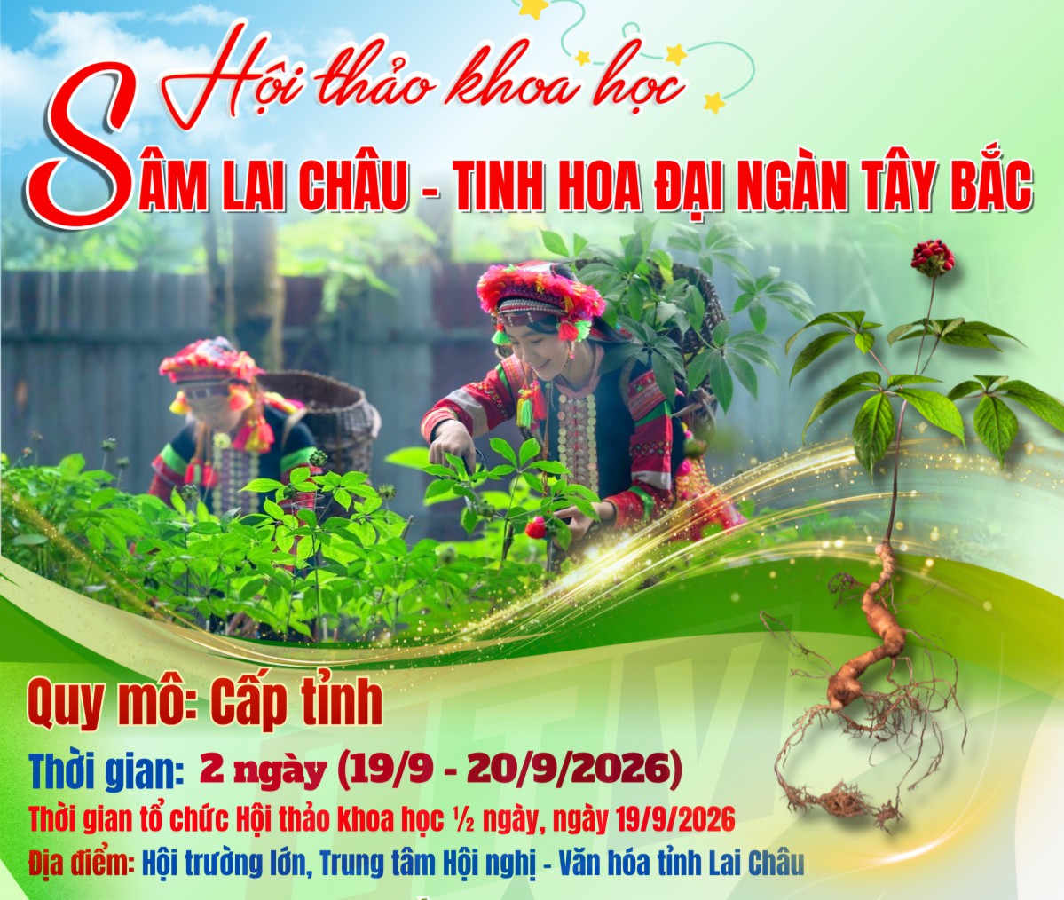 Lai Châu hoàn tất chuẩn bị Hội thảo khoa học về Sâm Lai Châu