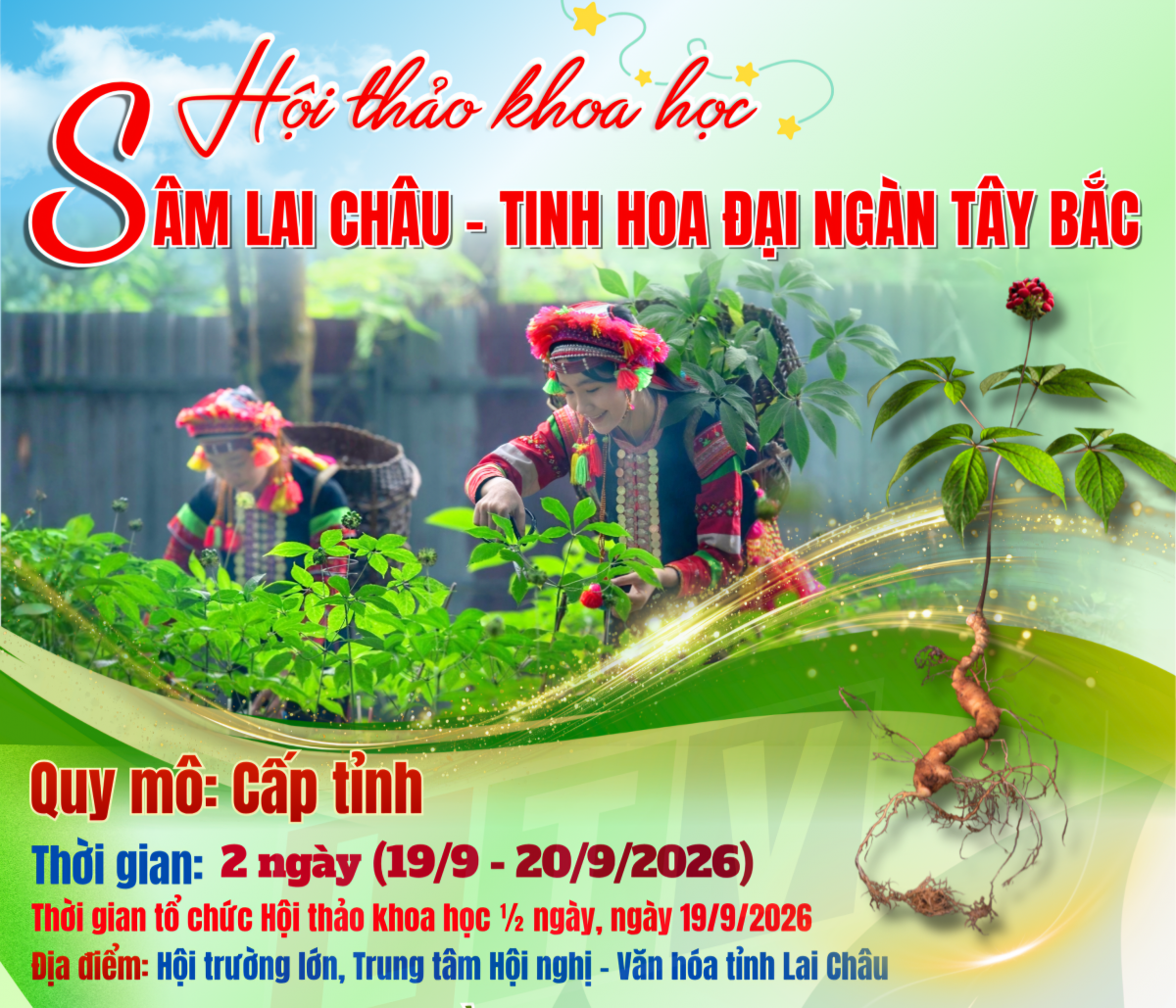 Lai Châu hoàn tất chuẩn bị Hội thảo khoa học về Sâm Lai Châu