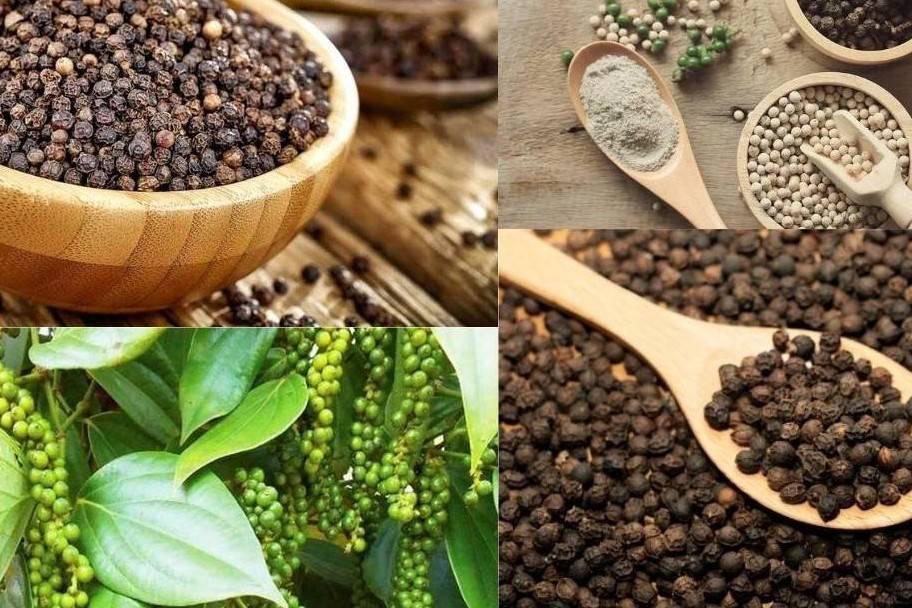Hồ tiêu Việt Nam đẩy mạnh liên kết, chế biến sâu và xây dựng thương hiệu