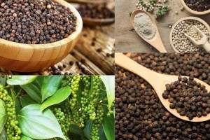 Hồ tiêu Việt Nam đẩy mạnh liên kết, chế biến sâu và xây dựng thương hiệu
