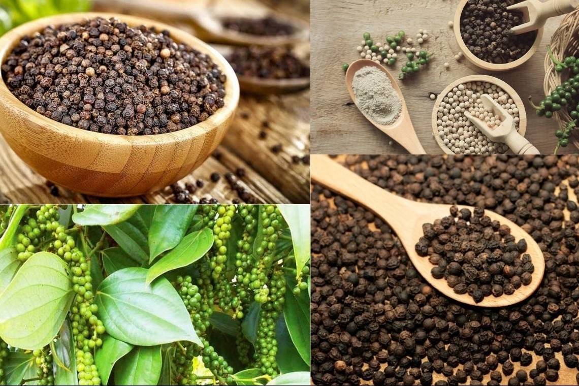 Hồ tiêu Việt Nam đẩy mạnh liên kết, chế biến sâu và xây dựng thương hiệu