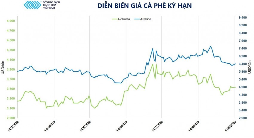 Giá cà phê bật tăng trở lại: Rủi ro nguồn cung vẫn bủa vây