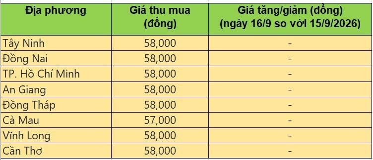 giá heo hơi