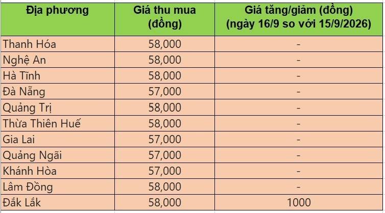 giá heo hơi