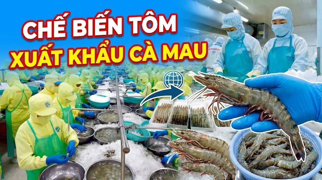 Điều kiện thông thoáng cho doanh nghiệp tại Cà Mau