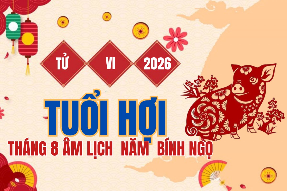 Tử vi tuổi Hợi tháng 8 âm lịch 2026: Chính Quan nâng sự nghiệp, tài lộc khởi sắc nhưng cảm xúc cần cân bằng