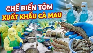 Cà Mau tháo điểm nghẽn thủ tục, mở lối cho doanh nghiệp thủy sản