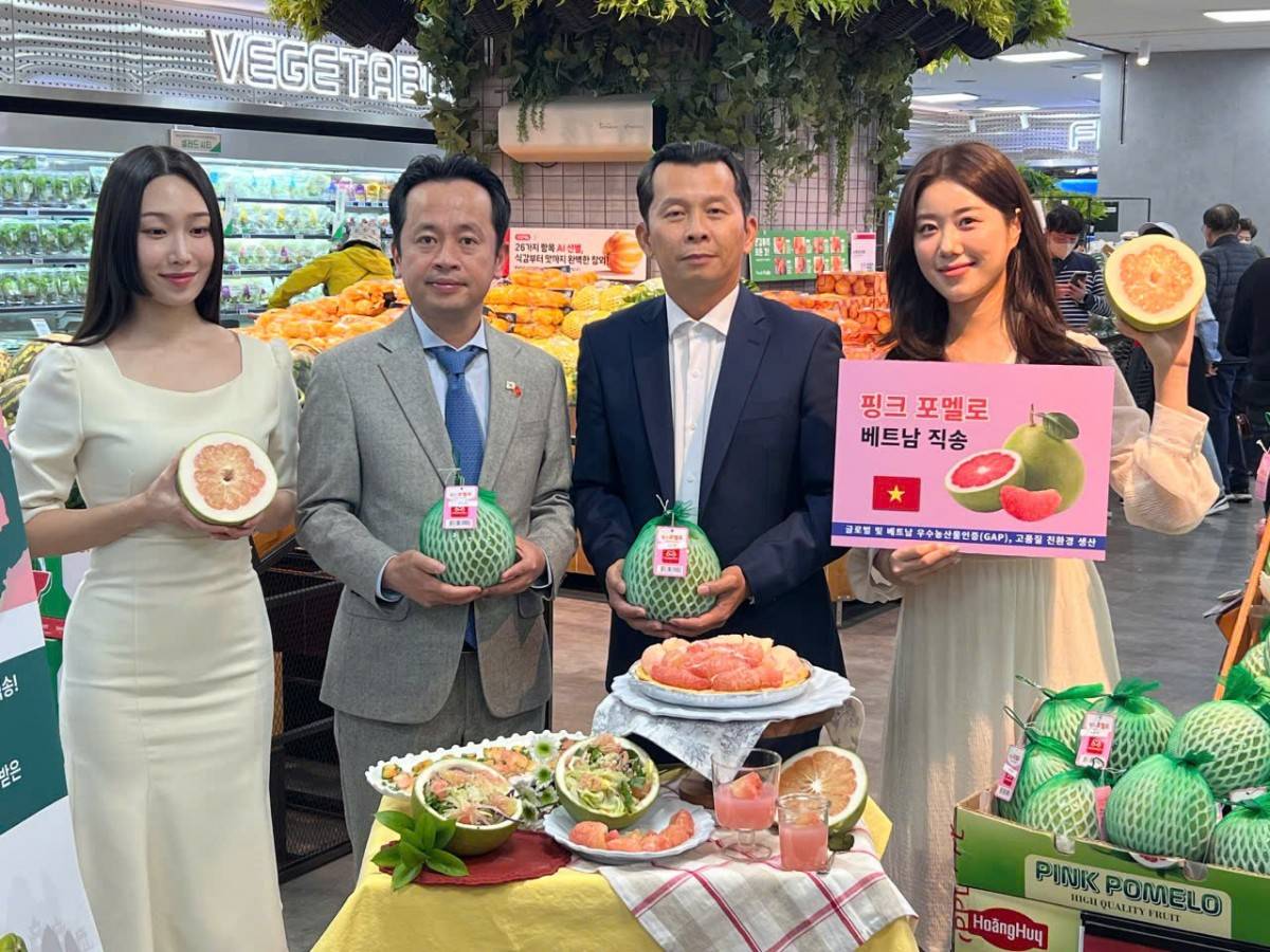 Đại diện Lotte Mart đánh giá cao tiềm năng của trái bưởi Việt Nam nhờ hương vị ngọt thanh, hàm lượng vitamin C cao và phù hợp với khẩu vị người tiêu dùng Hàn Quốc