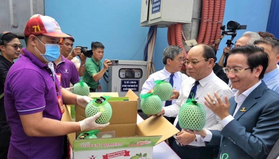 Ngày 13/4, tại Vĩnh Long, Bộ Nông nghiệp và Môi trường, UBND tỉnh Vĩnh Long, phối hợp doanh nghiệp tổ chức lễ công bố xuất khẩu lô bưởi da xanh đầu tiên Vĩnh Long sang Úc (Ảnh: https://tuoitre.vn).
