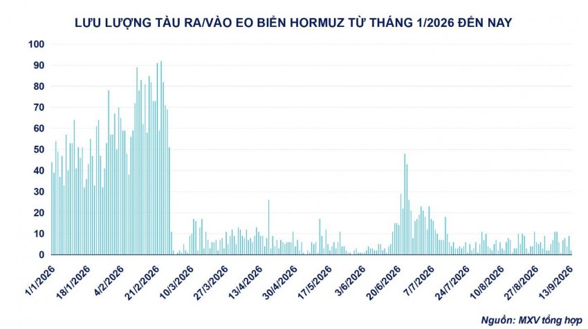 Giá đậu tương tăng vọt: Động lực từ nhu cầu Trung Quốc và rủi ro nguồn cung Nam Mỹ