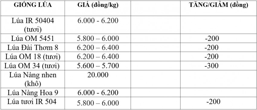 giá lúa gạo