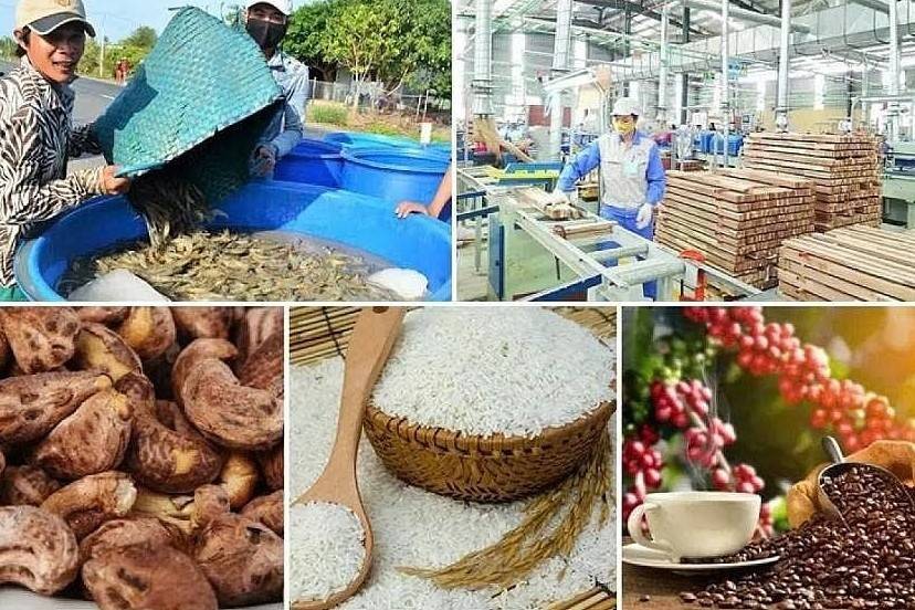 Xuất khẩu nông, lâm, thủy sản tăng tốc hướng tới mục tiêu 74 tỷ USD