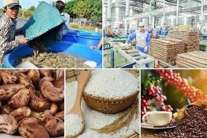 Xuất khẩu nông, lâm, thủy sản tăng tốc hướng tới mục tiêu 74 tỷ USD