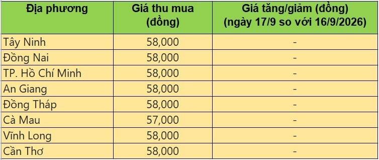 giá heo hơi