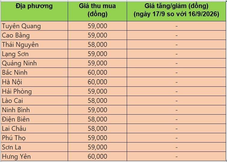 giá heo hơi